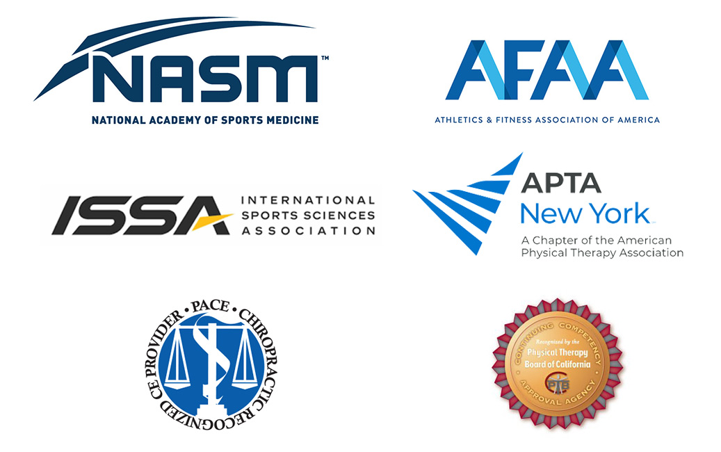 Pelvic Floor and Diastasis Recti Essentials Core Exercise Solutions