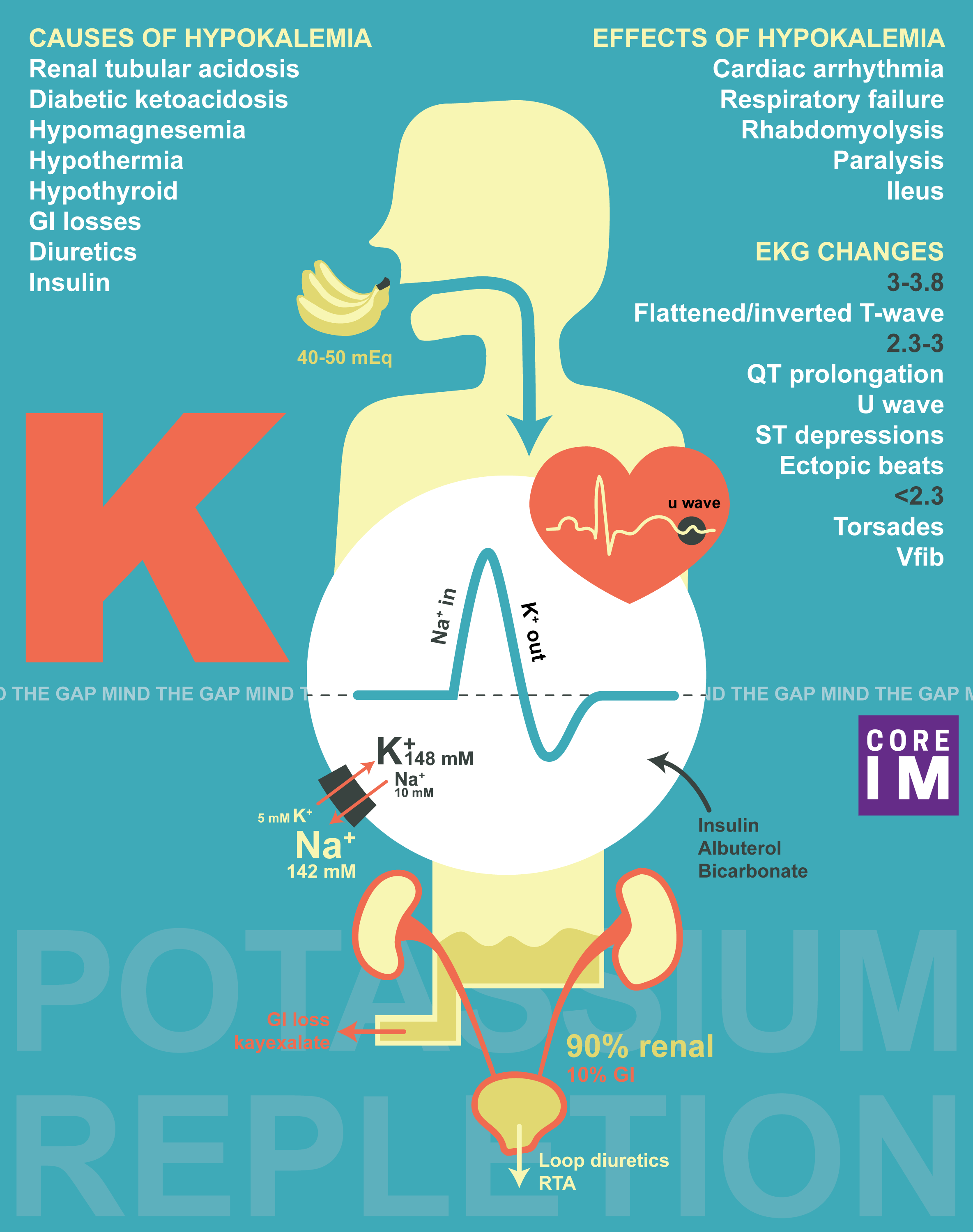 Potassium And Heart Disease