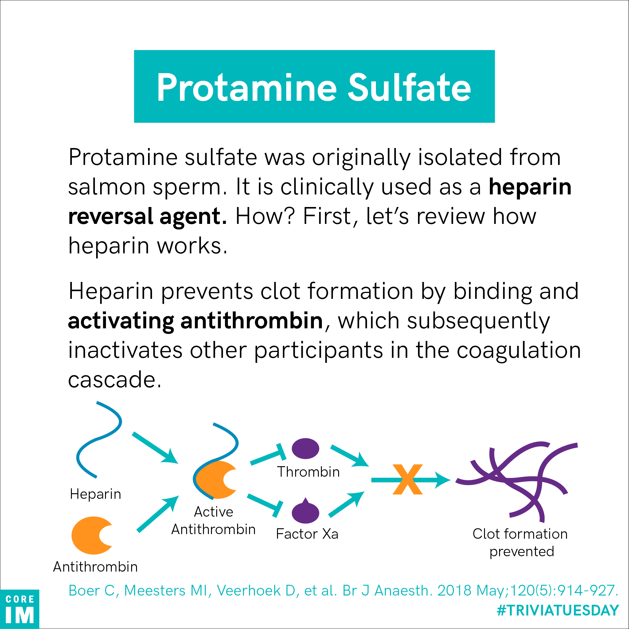 People with fish allergies are at risk for anaphylactic reaction to which medication? Core IM
