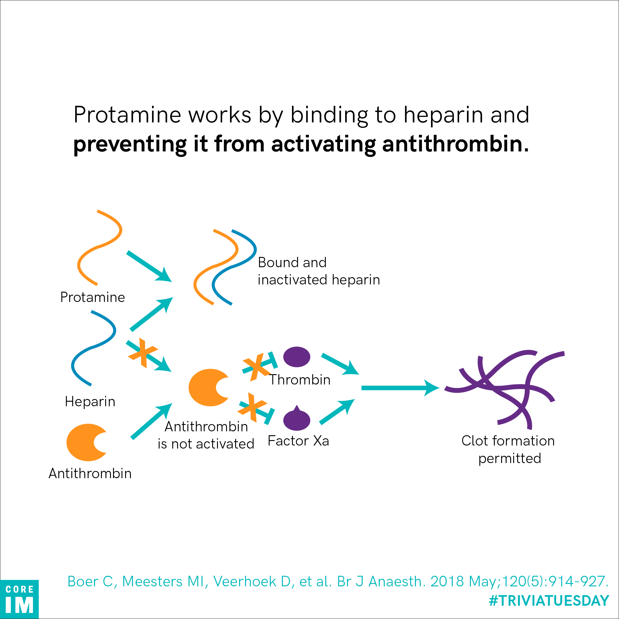 People with fish allergies are at risk for anaphylactic reaction to which medication? Core IM
