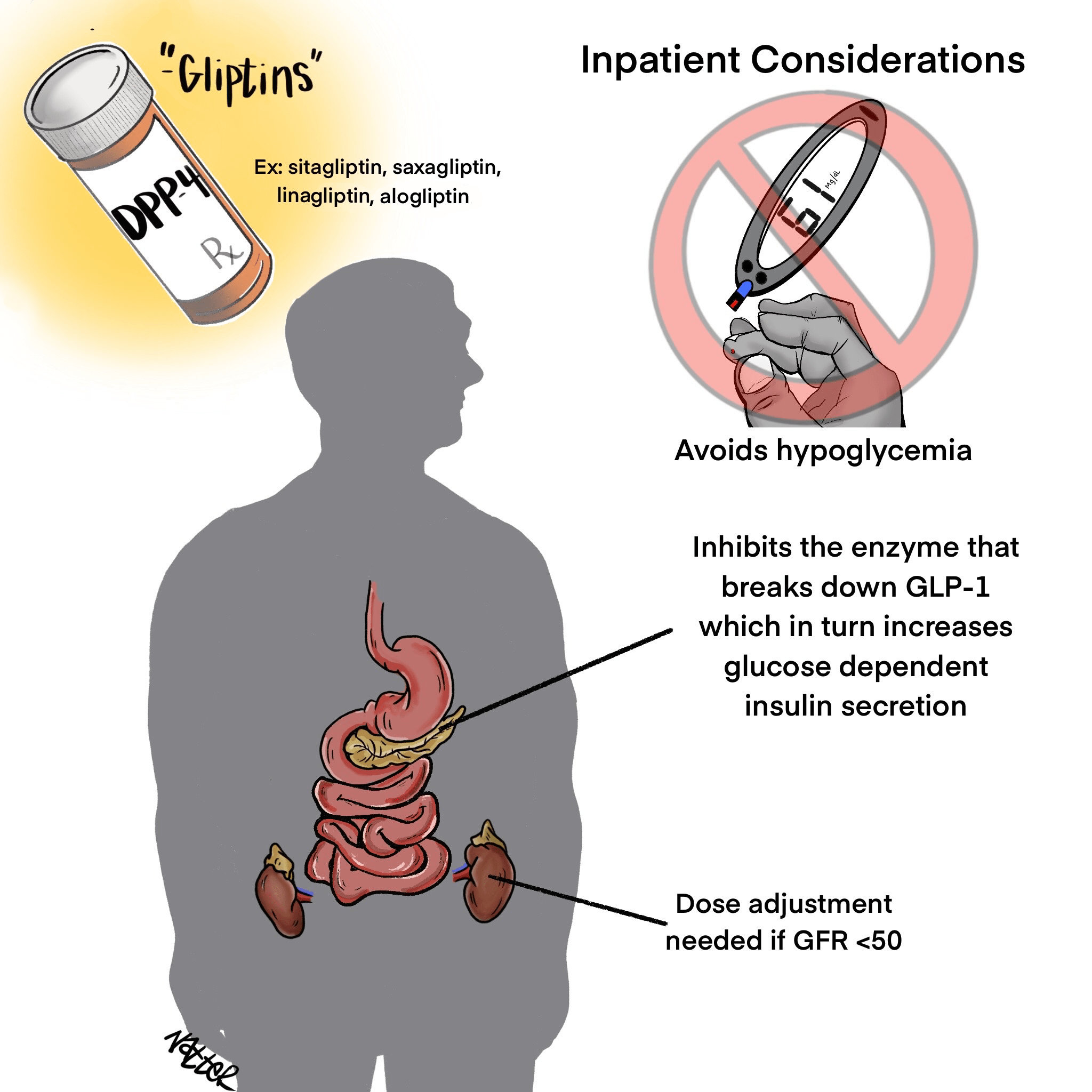 Oral Diabetes Medications Inpatient Mind the Gap Segment Core IM Podcast