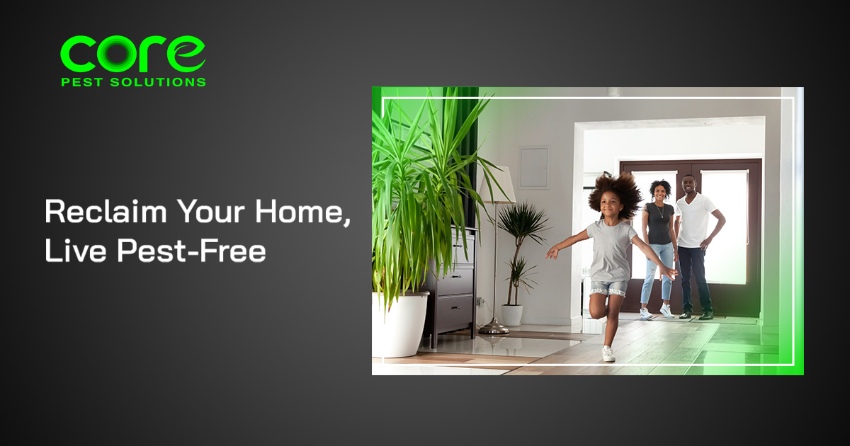 Pest Control in Summerville, SC Core Pest Solutions