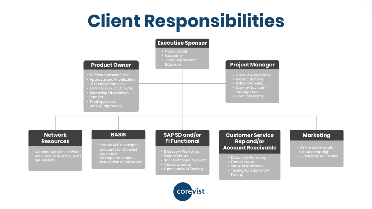 Roles and responsibilities of client