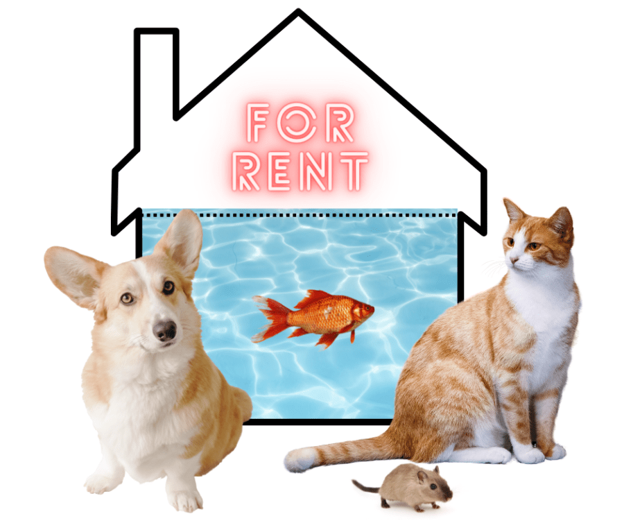 Britain’s Rental Pet Policy and What It Means for Nonhuman Animals