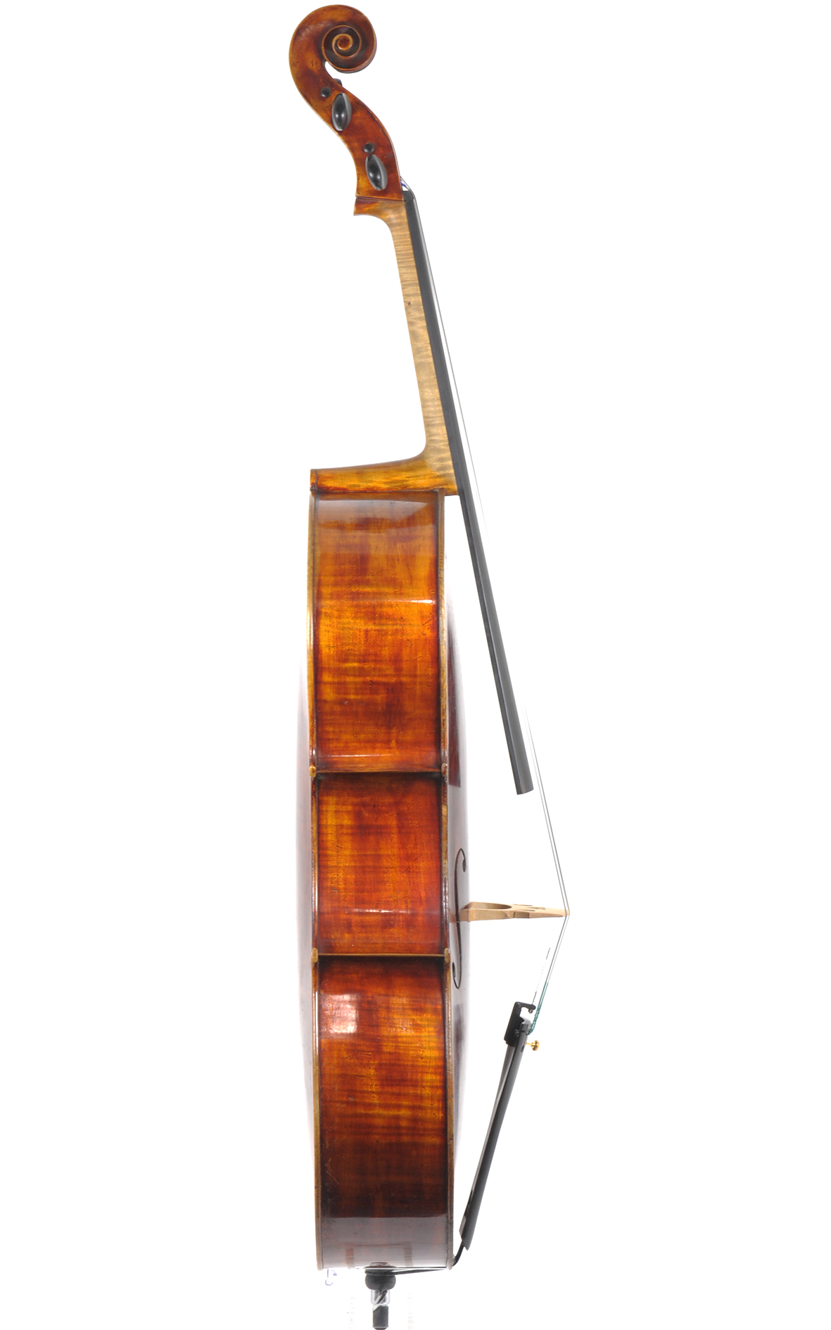 Old German Cello by Eduard Tauscher, circa 1920 Cellos, Erlbach near