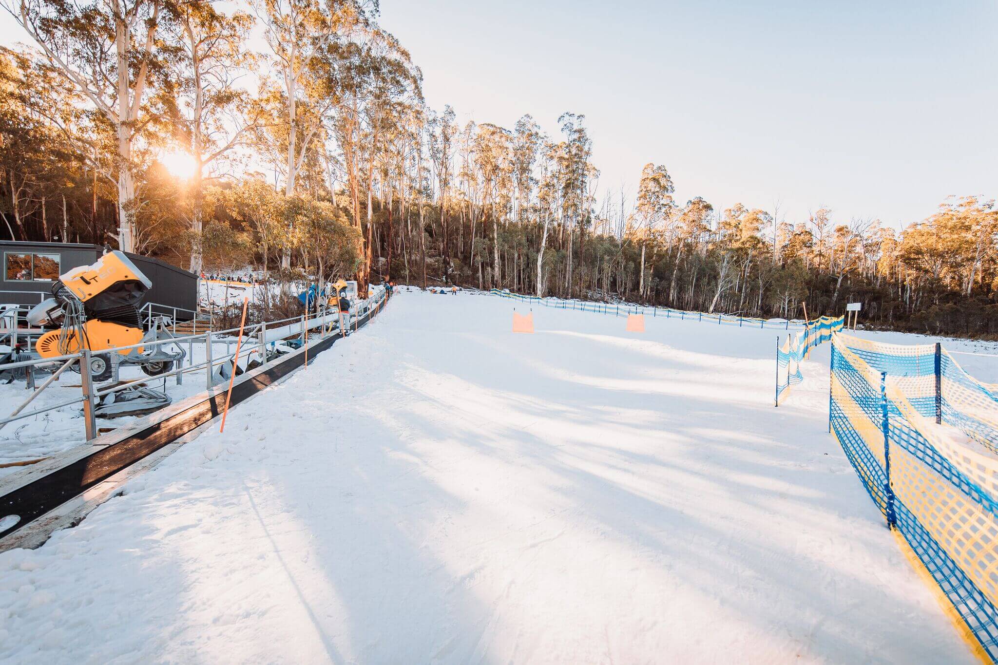 SKI AND RIDE Corin Forest