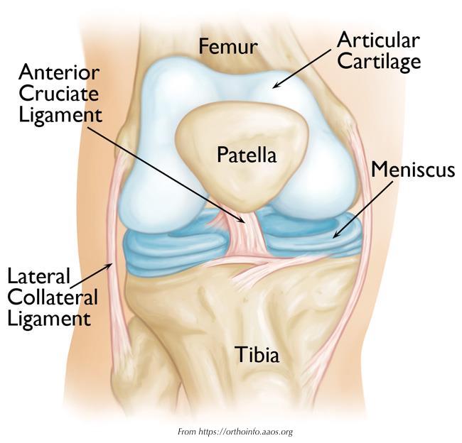 Knee Injuries Cork Surgery Orthopaedic & Sports Medicine Surgery