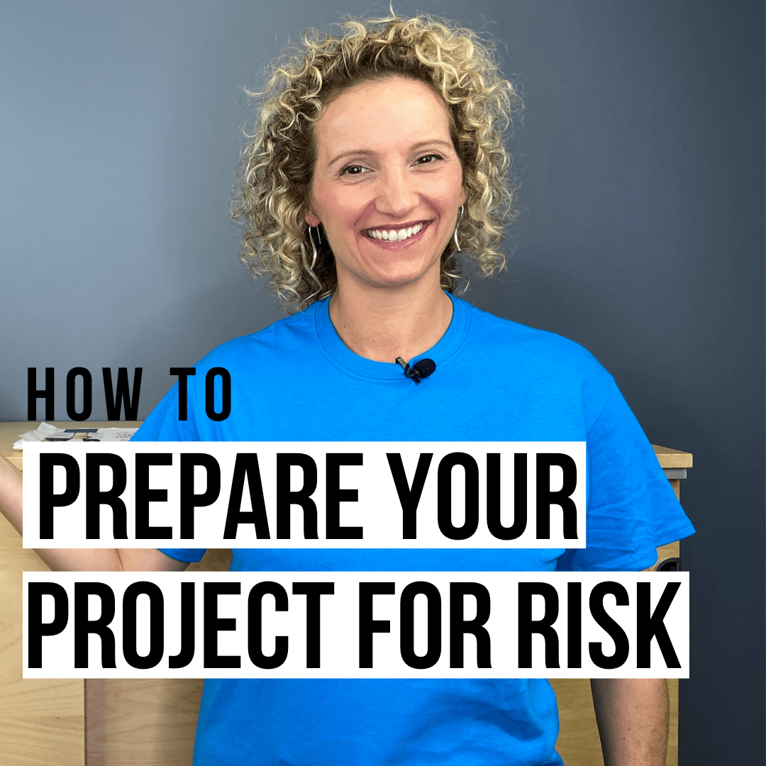 Project Risk Management Overview and Guidelines CornerStone Dynamics