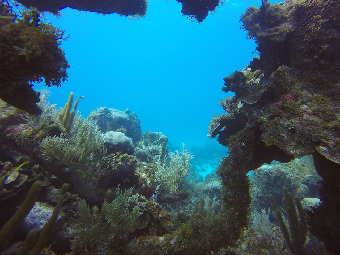 Scuba Diving Corn Island Dive Center Nicaragua