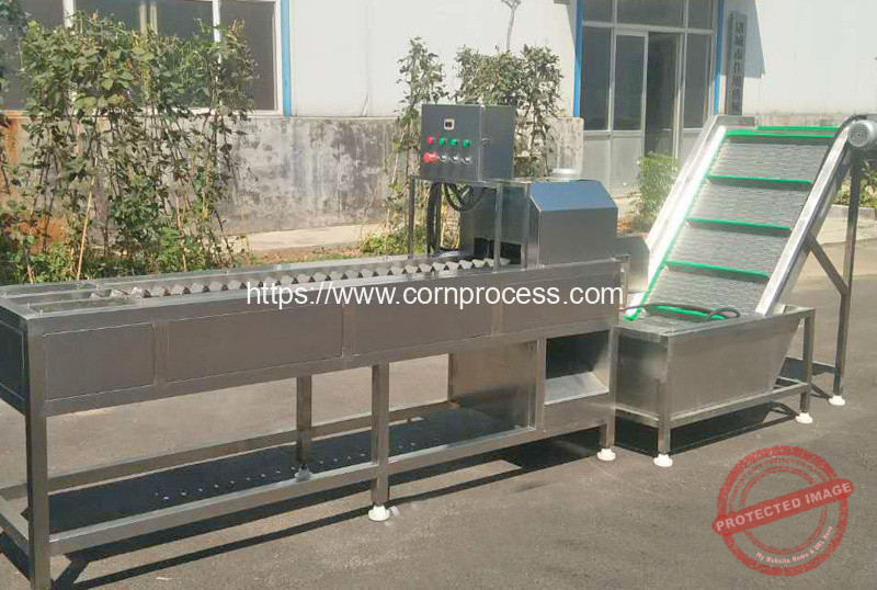 Automatic Corn Head Cutting Machine with Separating Function Corn