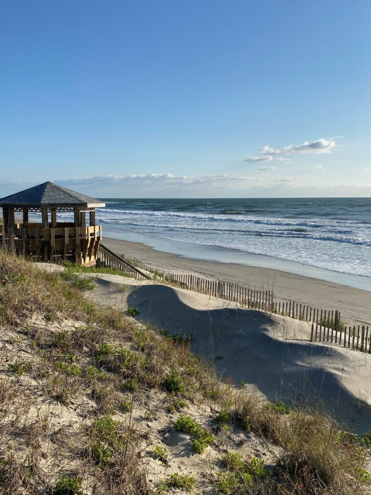 image4 Corolla Surf Shop