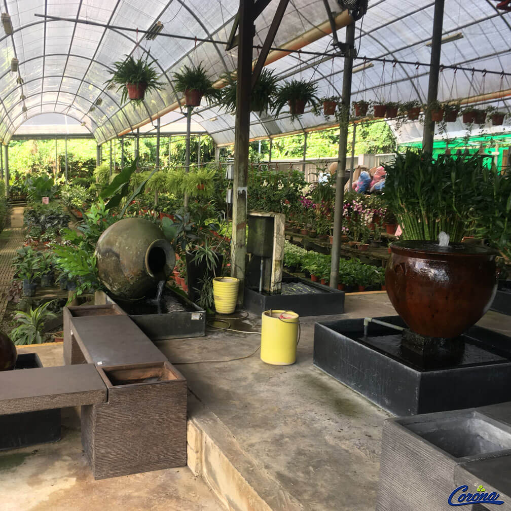 Indoor2 Corona Florist & Nursery