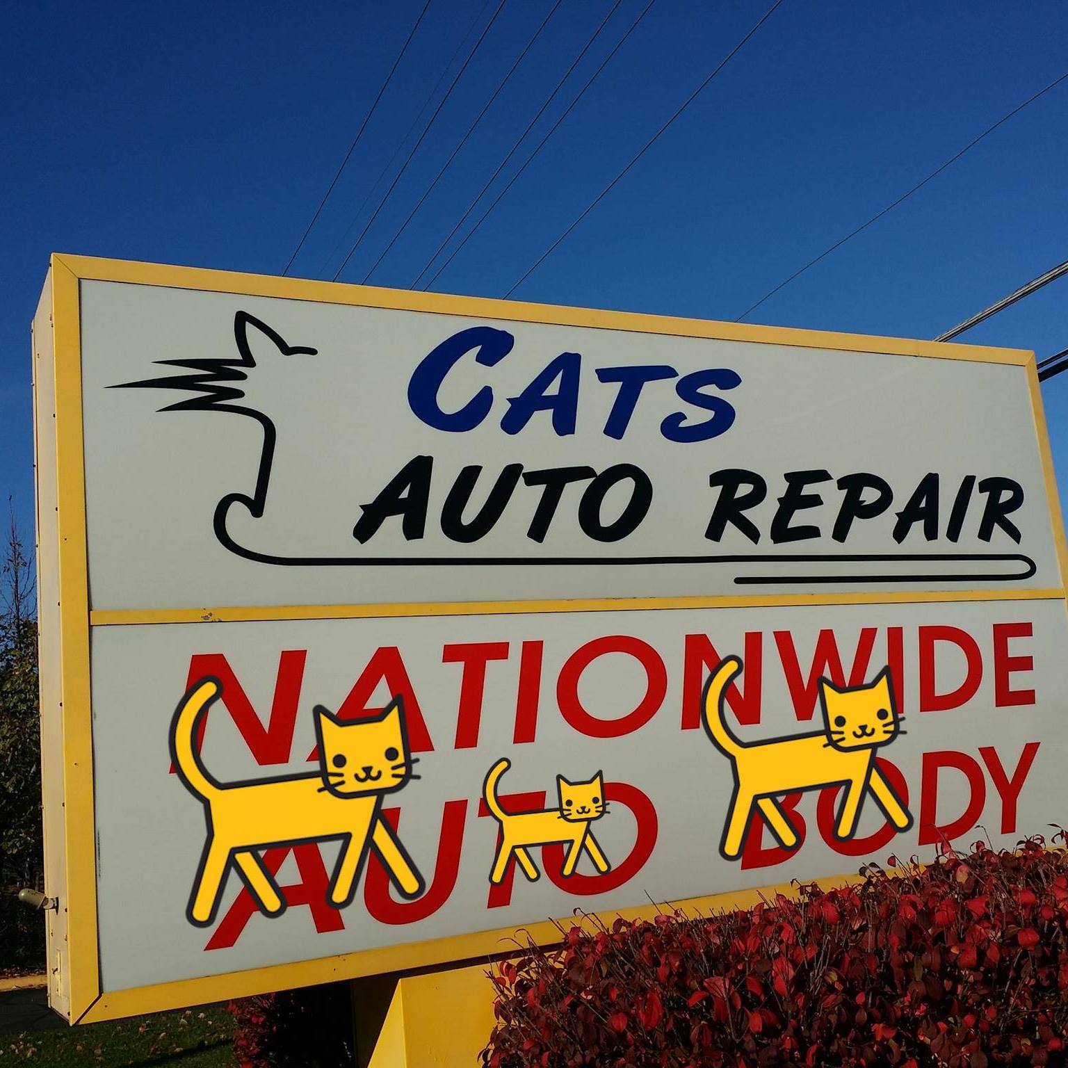 CATSAUTOREPAIR Corporate Billing