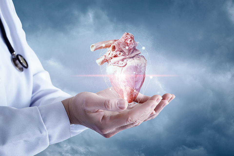 Chirurgie cardiaque à Nîmes Chirurgien cardiovasculaire Nîmes