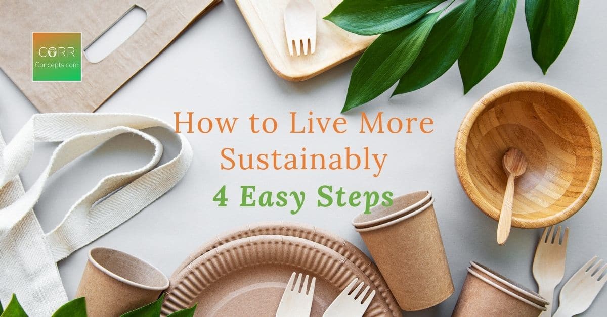 Learn How To Live Sustainably and Get Started! CORR Concepts