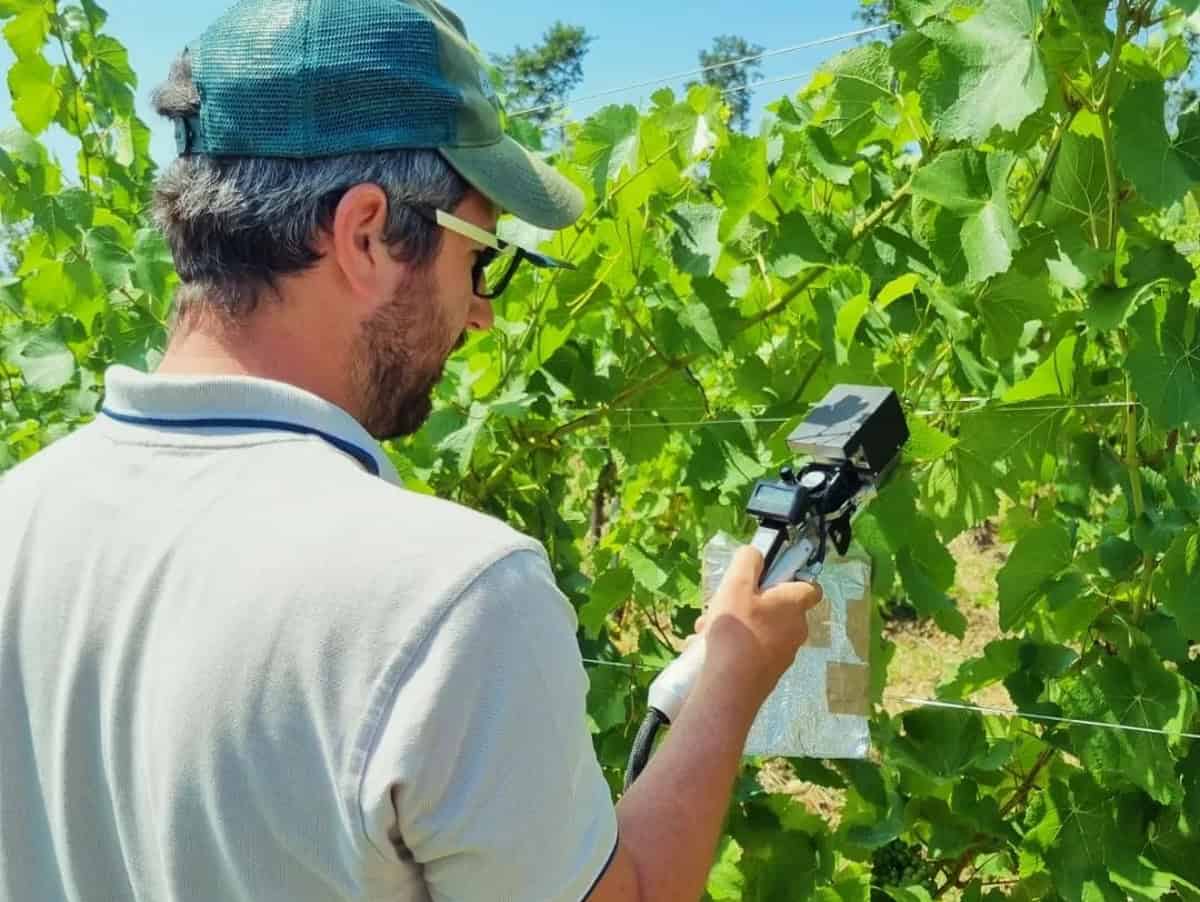 Vino italiano sotto attacco, il “pacchetto di salvaguardia”
