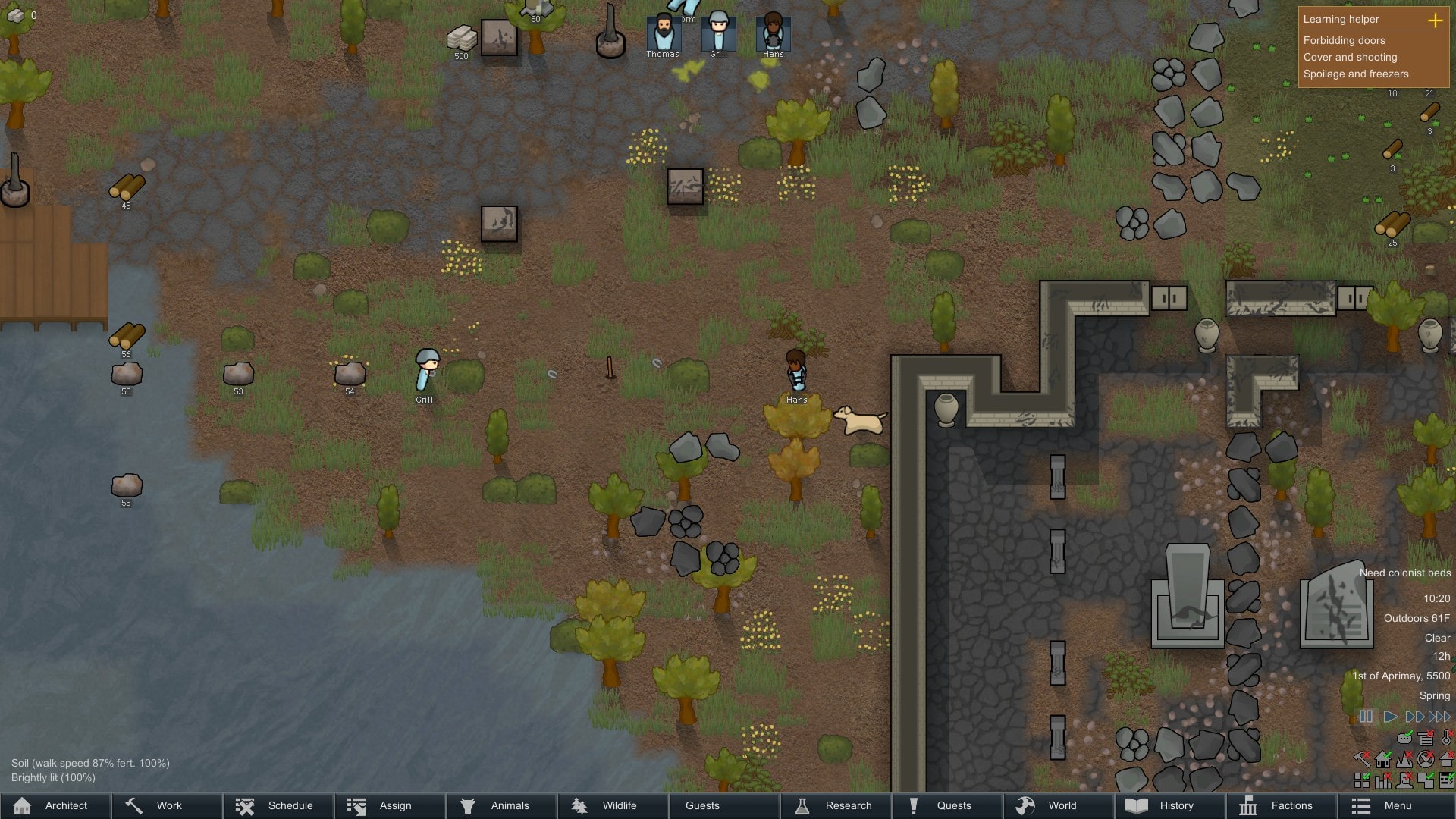 Peut être ignoré en dessous de aiguille rimworld console commands
