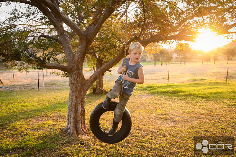 How To Make A Tire Swing Simple DIY Ideas & Tutorials