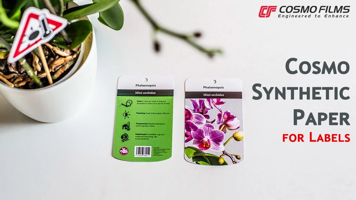 Synthetic Paper, Synthetic Film, Pearly finish films Manufacturer