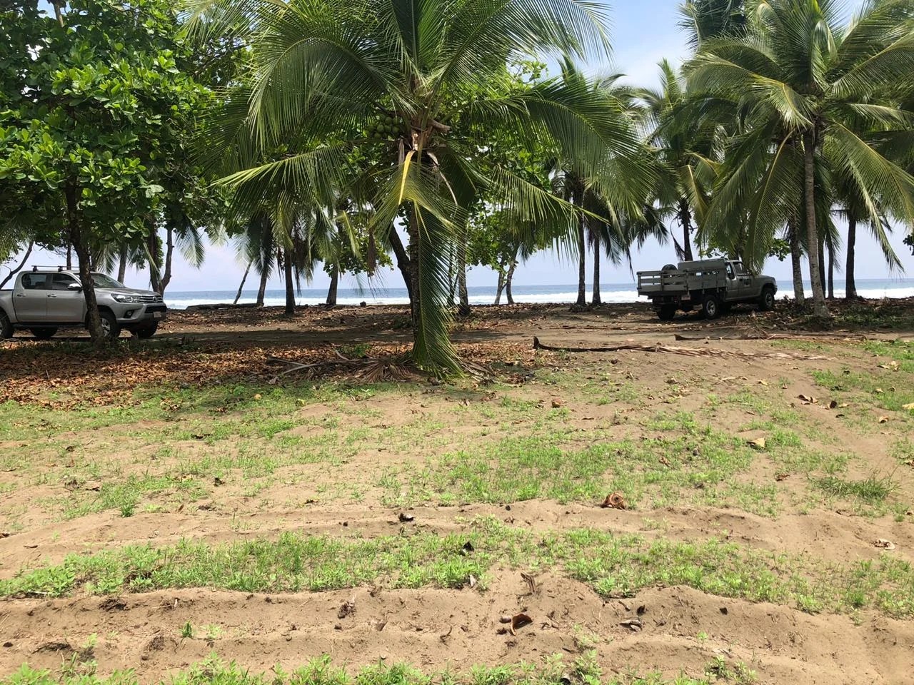 2.5 ACRES Incredible Beachfront Property On Playa Matapalo With Concession!!! Costa Rica