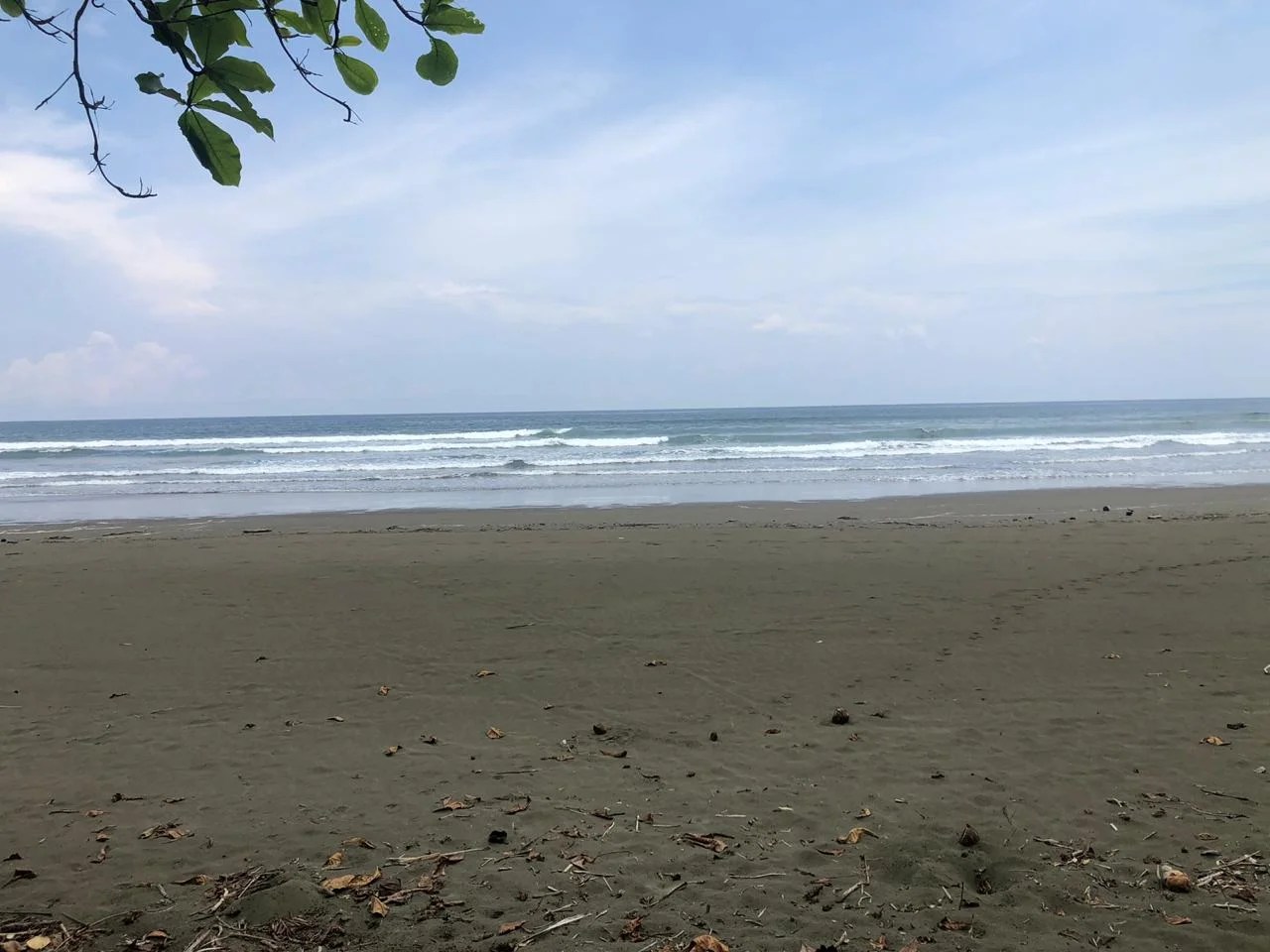 2.5 ACRES Incredible Beachfront Property On Playa Matapalo With Concession!!! Costa Rica