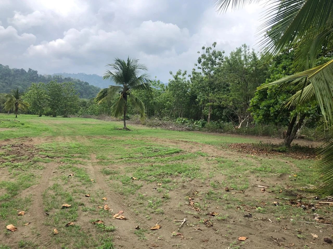 2.5 ACRES Incredible Beachfront Property On Playa Matapalo With Concession!!! Costa Rica