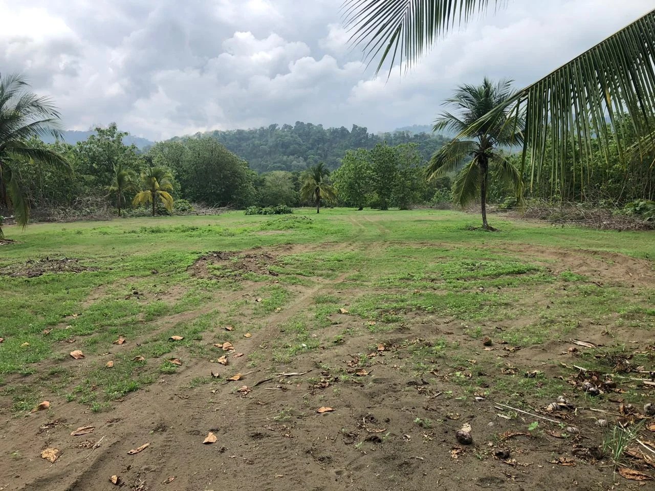 2.5 ACRES Incredible Beachfront Property On Playa Matapalo With Concession!!! Costa Rica