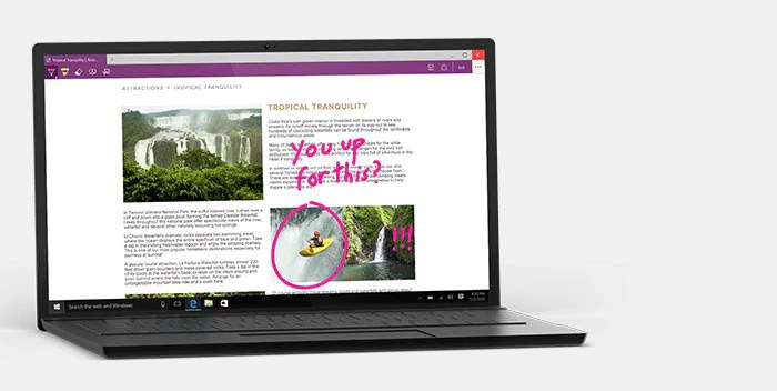 Microsoft Windows 10 Buying Guide Costco UK