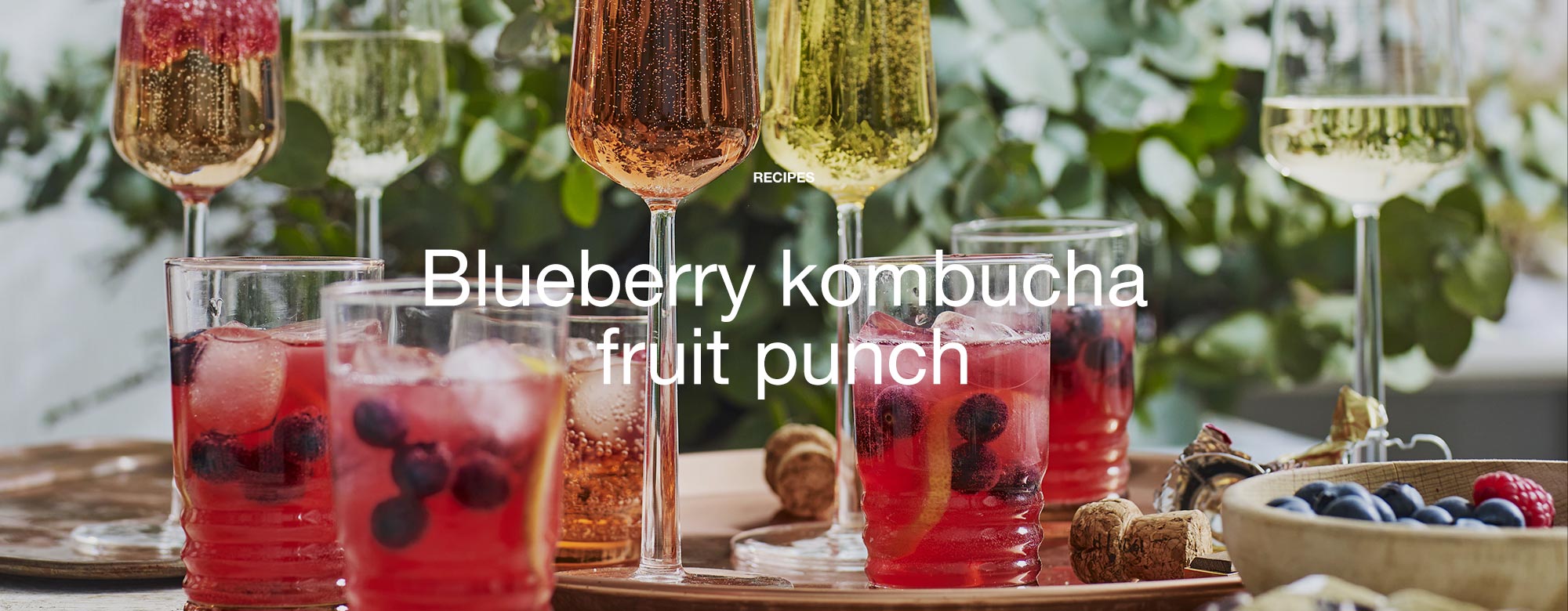 Blueberry Kombucha Fruit Punch Costco Australia