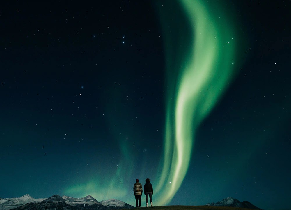 The Ultimate Smart TV Buying Guide Costco Australia