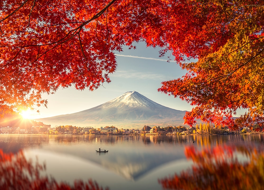 The Ultimate Smart TV Buying Guide Costco Australia