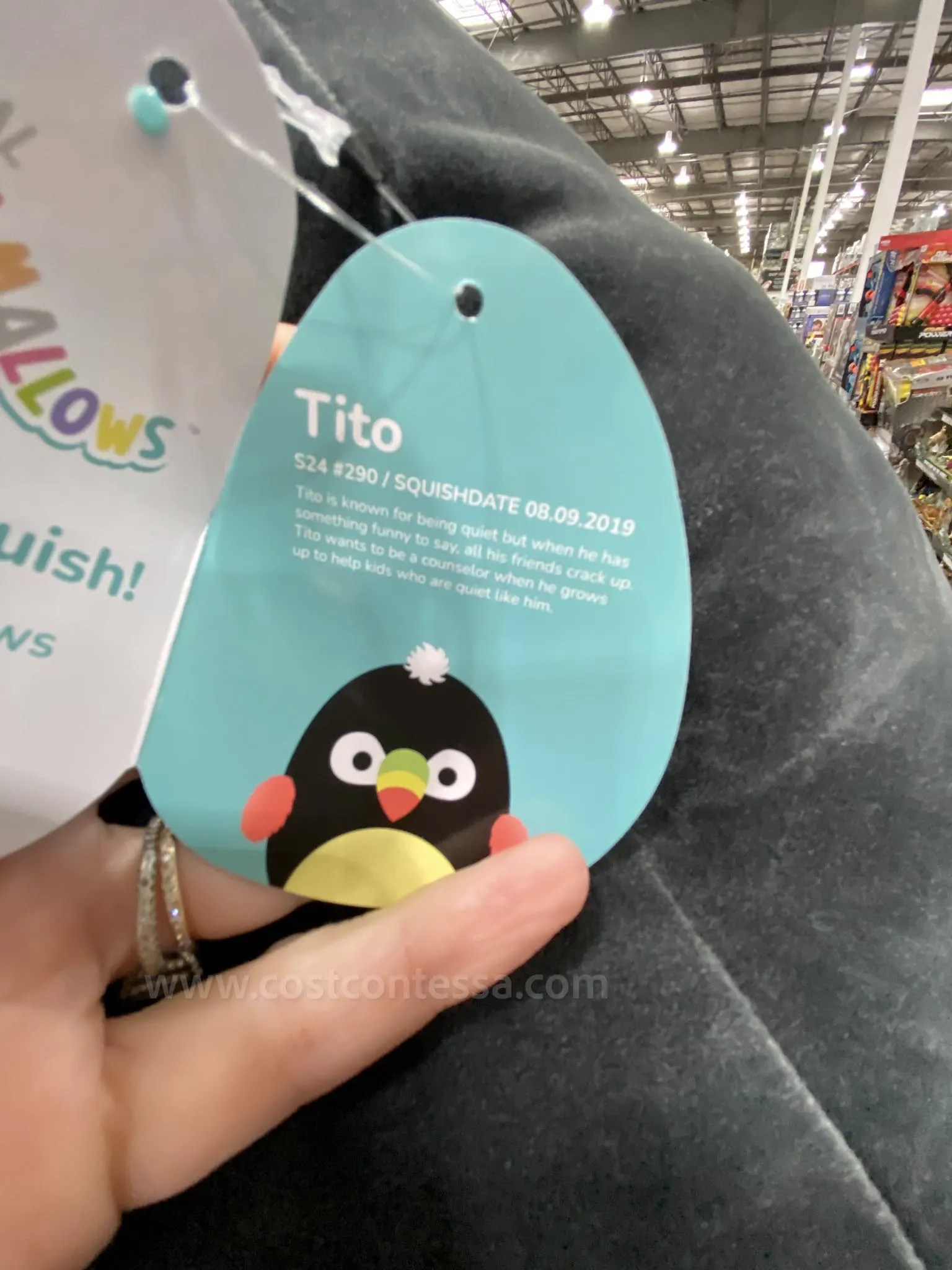 3 New Squishmallows at Costco CostContessa