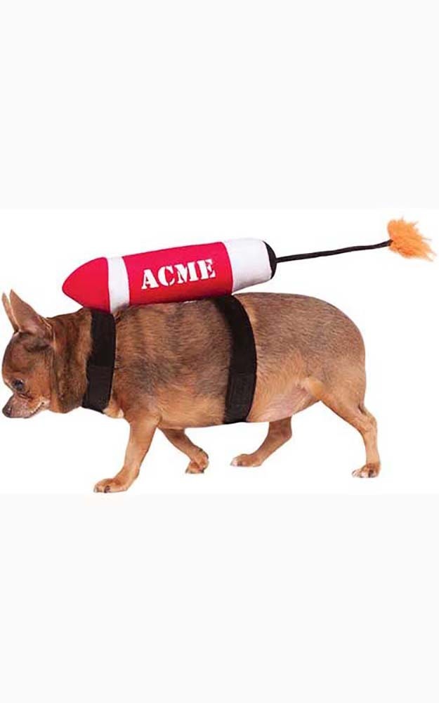 ACME TNT ROCKET PET DOG DYNAMITE COSTUME eBay