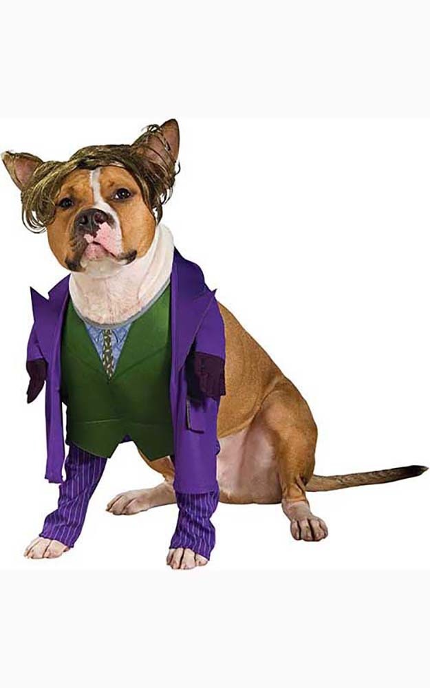Joker Dark Knight Pet Dog Costume RUBIES