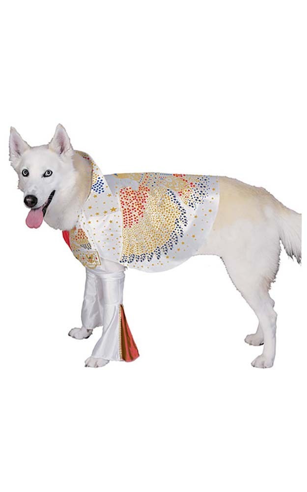 ELVIS DOG ROCK N ROLL COSTUME FANCY DRESS HALLOWEEN COSTUME eBay