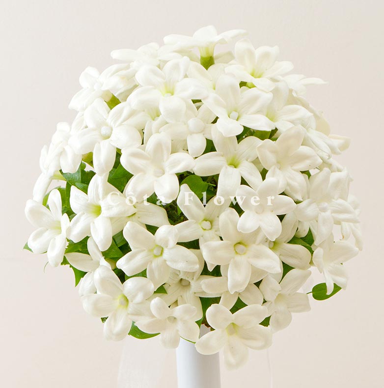 ジャスミンのラウンドブーケ│ ｜ Cota Flower Yokohama ｜ヨコハマのお花屋さん｜