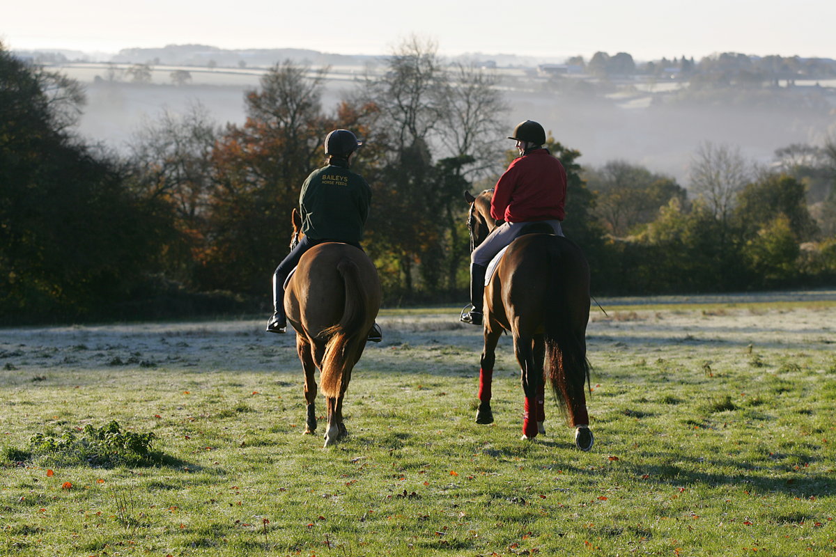 Hacking Cotswold Horse Tours