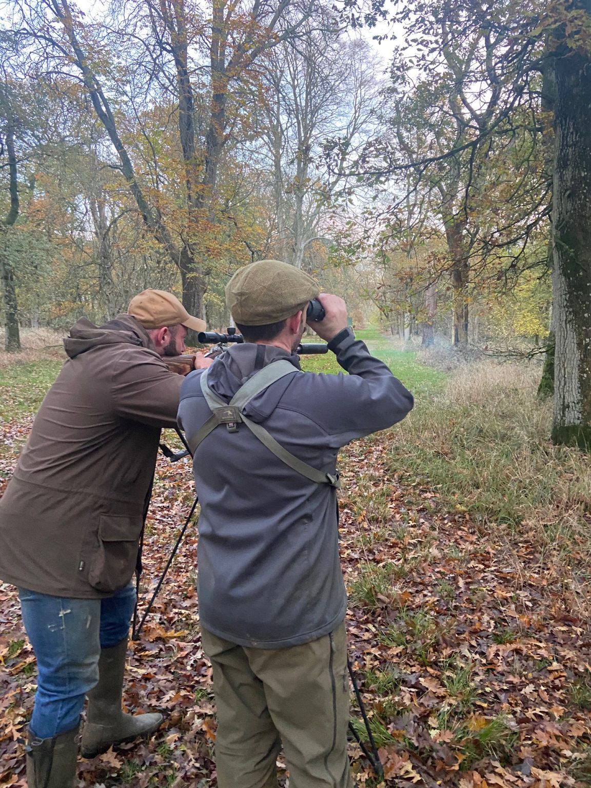 Deer Stalking • Cotswold Sporting