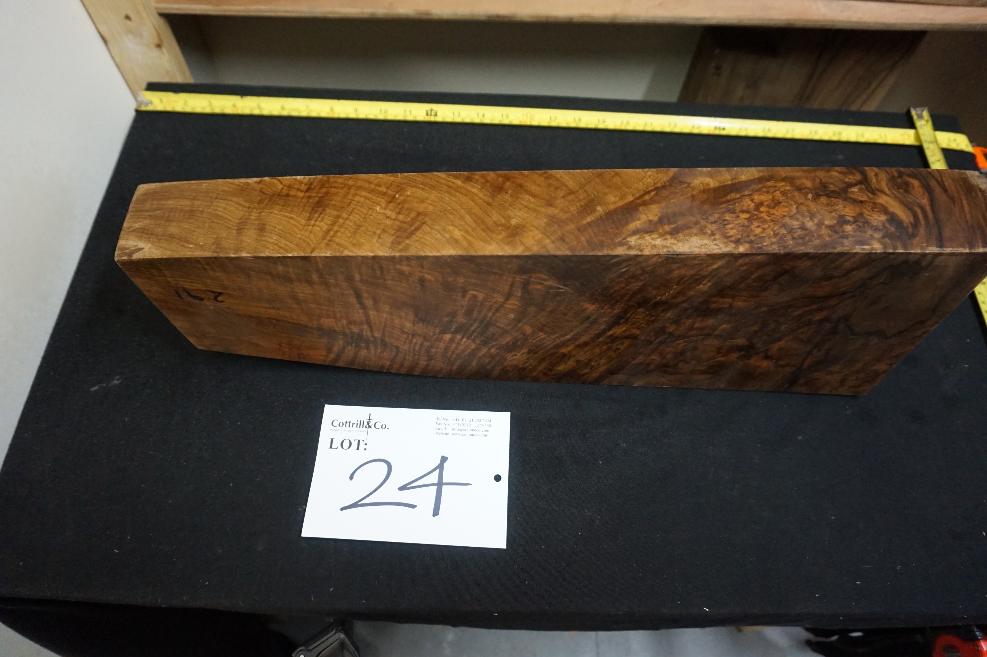 1 Piece of Exhibition Grade Turkish Walnut