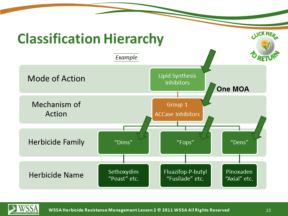 Herbicide Classification Chart