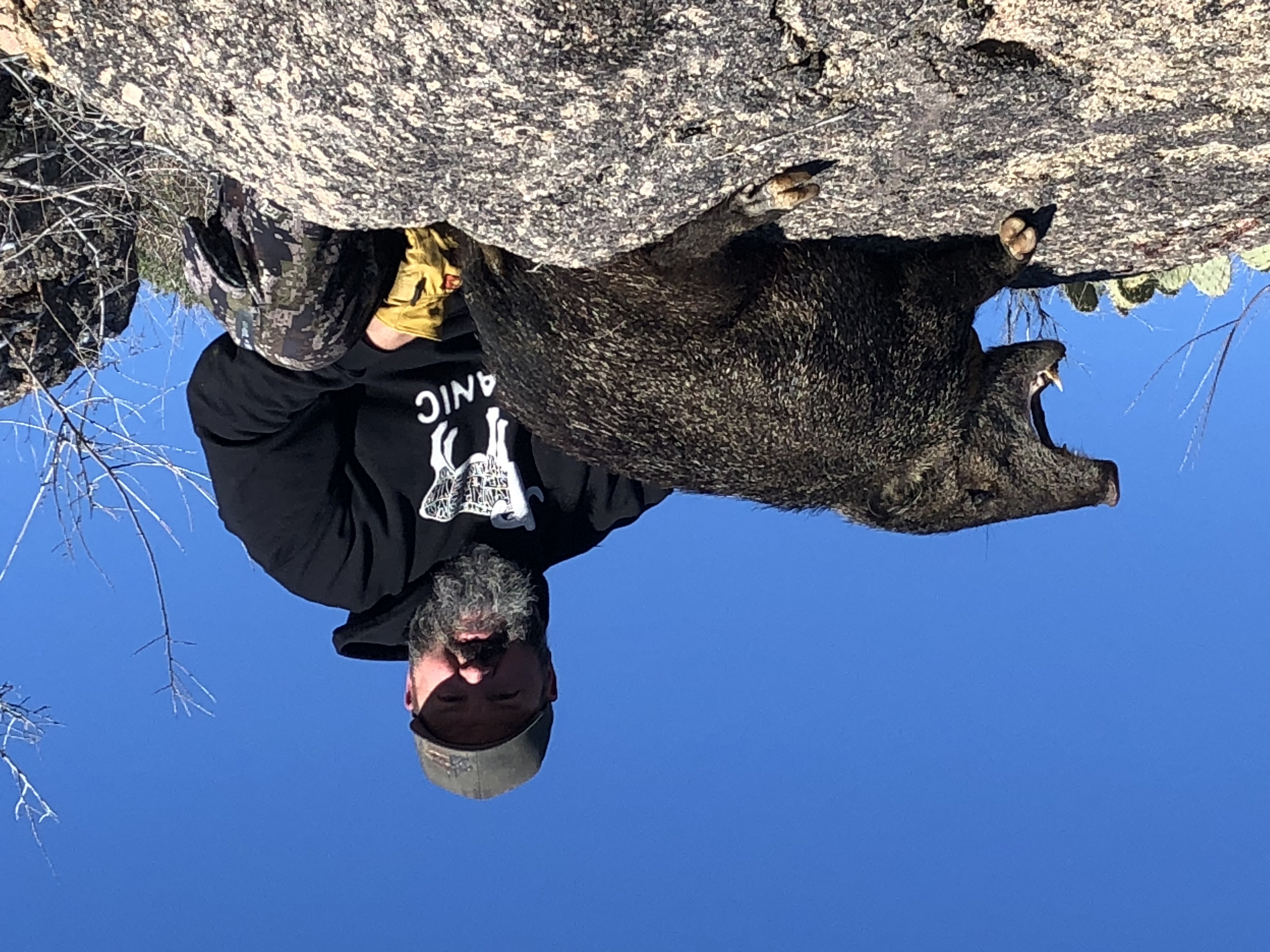 1st Javelina HAM Hunt Javelina Discussion forum