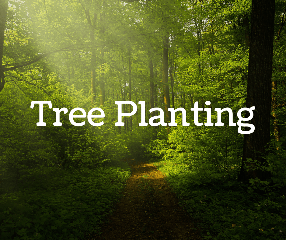 Service Country Basket Garden Centre Niagara Falls