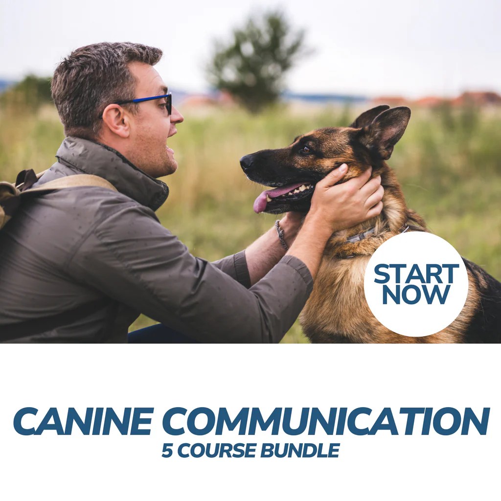Animal Care Online Courses, Huge Sale, Start Now — Courses For Success