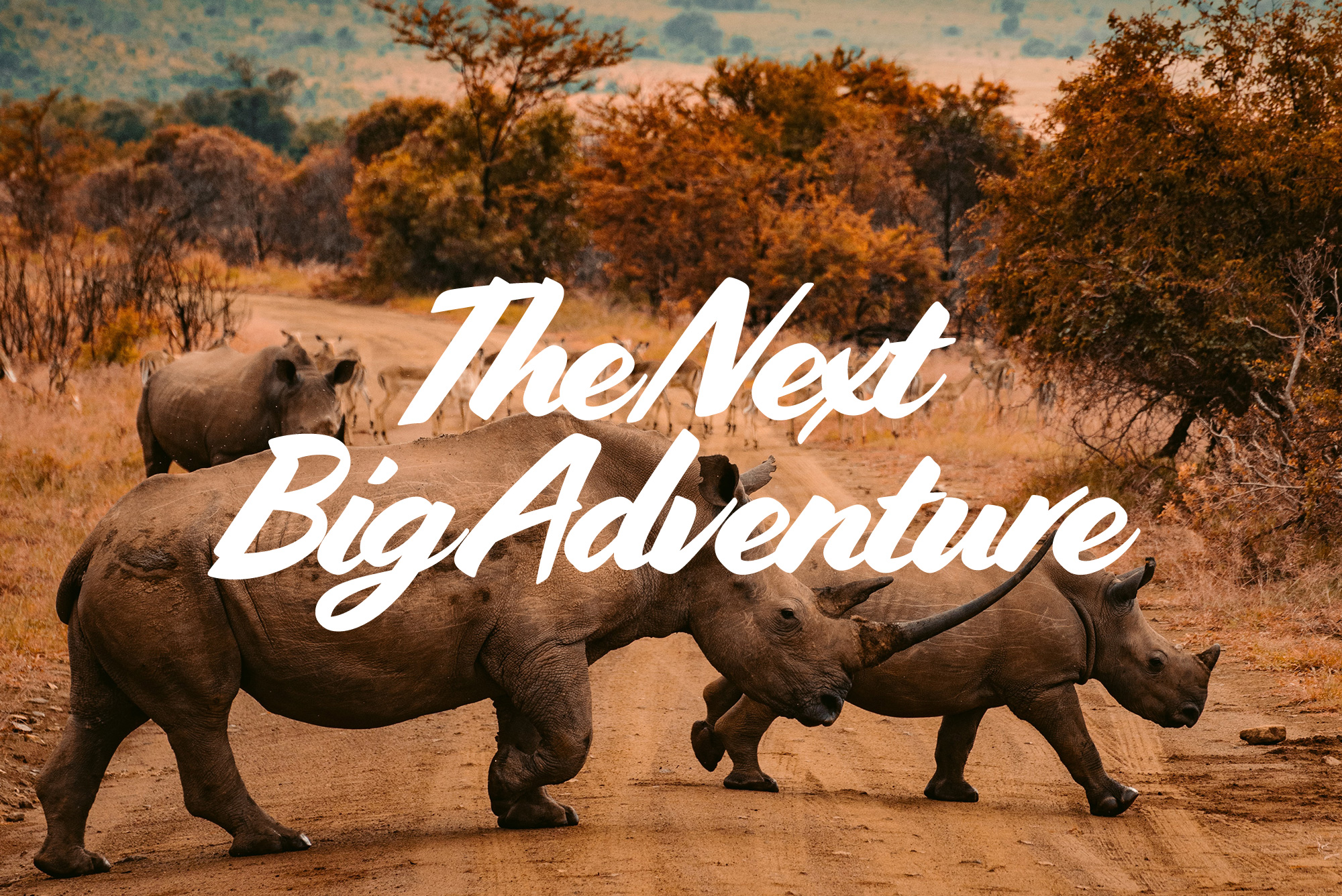 The Next Big Adventure Courtyard Travel