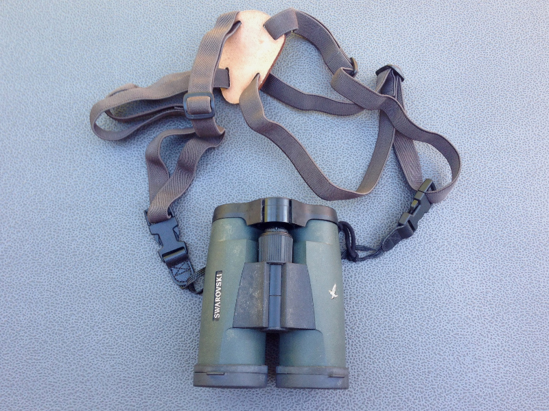 Swarovski 10x42 SLC NEU binoculars & harness