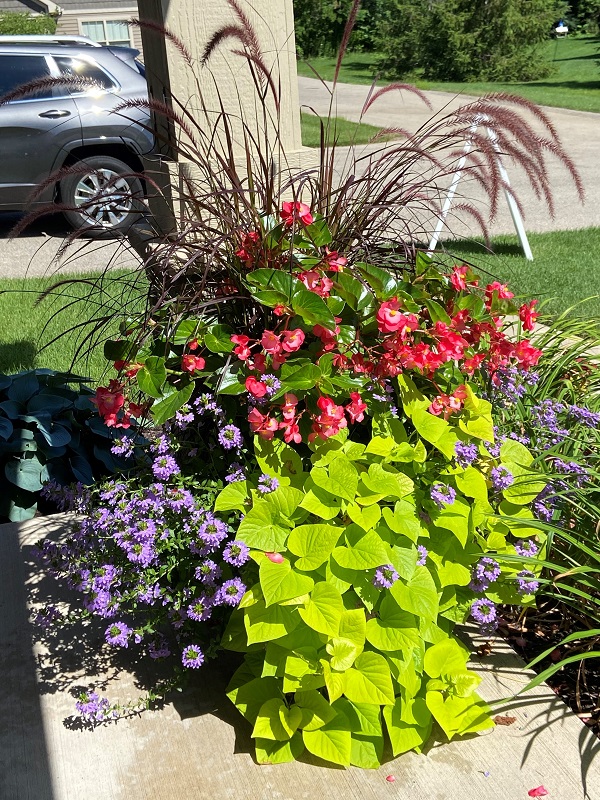 Independent Living Rentals in Jenison MI at Allen Springs Covenant