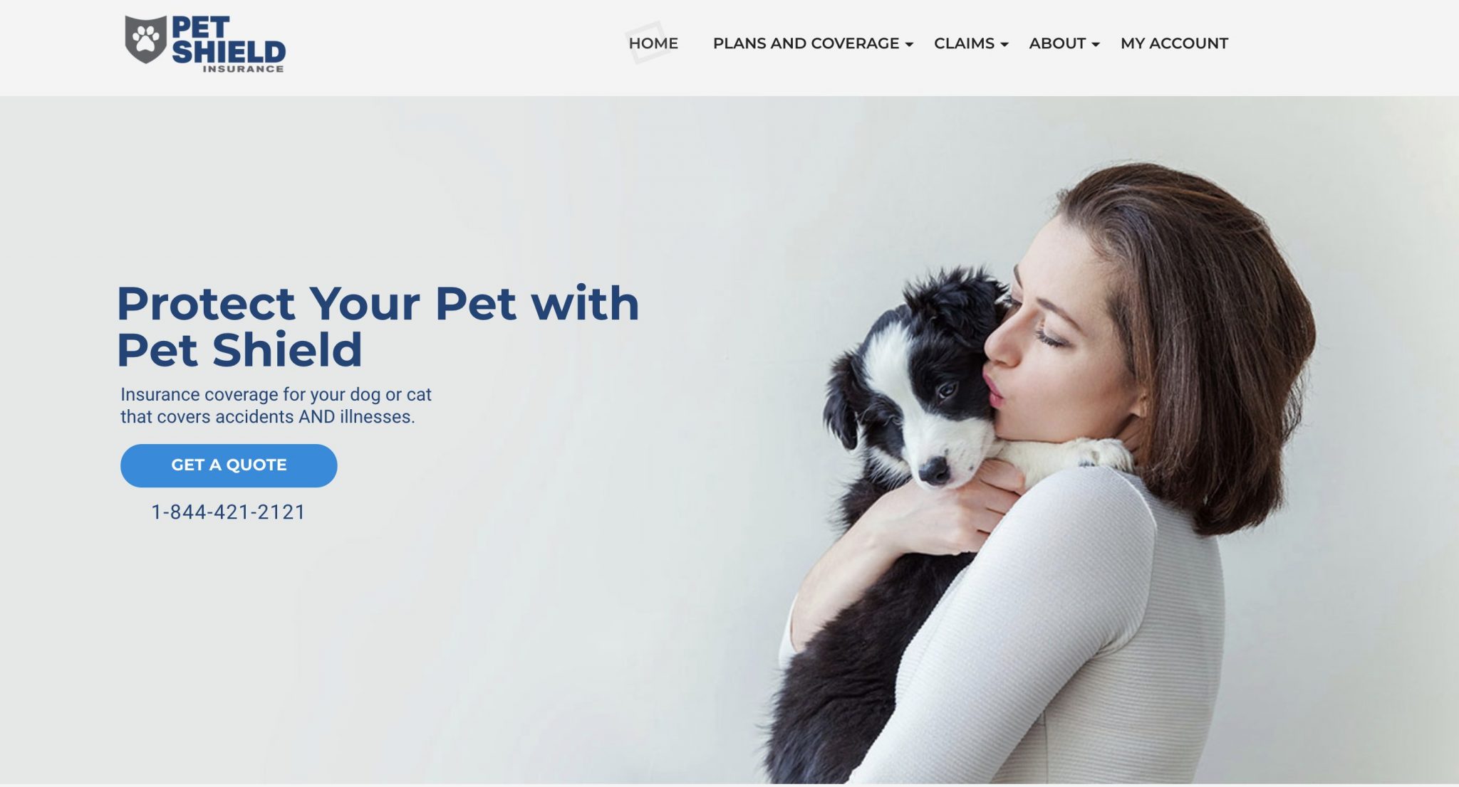 Petline partners with Armour Insurance to launch pet insurance product