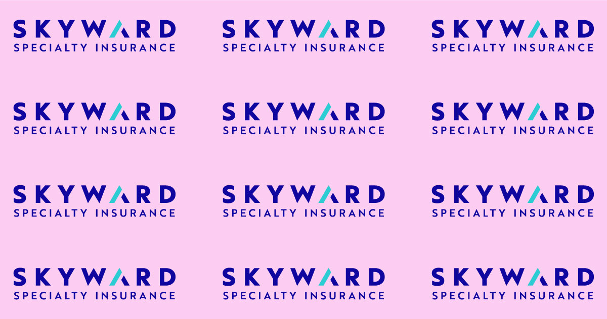 Skyward's “Rule Our Niche” strategy is now made public