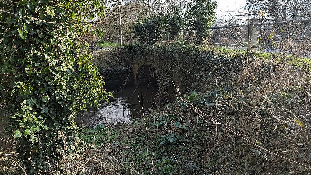 35 increase in sewage dumps by Severn Trent Water last year Coventry