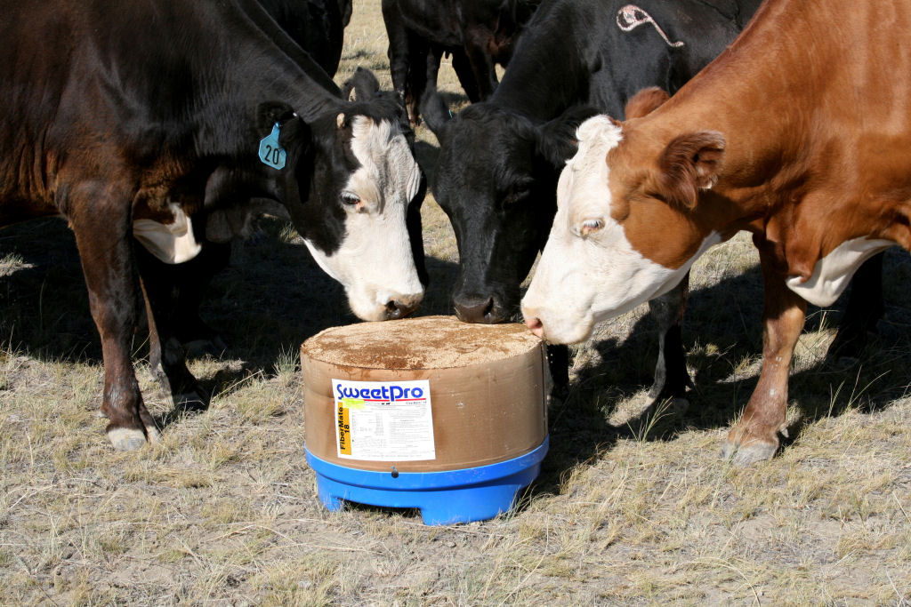 BEEF CATTLE HEALTH & PRODUCTS